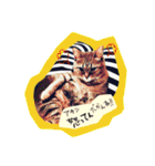 捨て猫様を拾ったらアタシ幸せになったよ★（個別スタンプ：3）