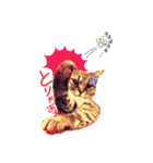 捨て猫様を拾ったらアタシ幸せになったよ★（個別スタンプ：4）