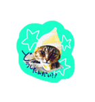 捨て猫様を拾ったらアタシ幸せになったよ★（個別スタンプ：5）