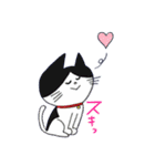 捨て猫様を拾ったらアタシ幸せになったよ★（個別スタンプ：29）