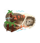 ちゃとらのチロルの日常2（個別スタンプ：1）
