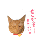 ちゃとらのチロルの日常2（個別スタンプ：4）