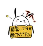 うさぎのまこやん（個別スタンプ：37）