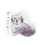 犬のせんぱい ボーダーテリア（個別スタンプ：2）