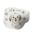 犬のせんぱい ボーダーテリア（個別スタンプ：7）