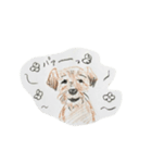 犬のせんぱい ボーダーテリア（個別スタンプ：10）