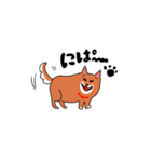 柴犬モモコと仲間たち（個別スタンプ：4）