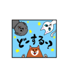 柴犬モモコと仲間たち（個別スタンプ：10）