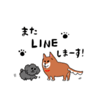 柴犬モモコと仲間たち（個別スタンプ：14）