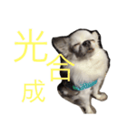 痔様（個別スタンプ：1）