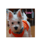 虹愛～ciela～ vol,1.（個別スタンプ：2）