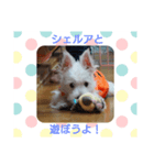 虹愛～ciela～ vol,1.（個別スタンプ：8）