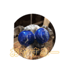 イサミすたんぷ（個別スタンプ：14）