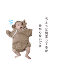 そうじゅくんのスタンプ（個別スタンプ：1）