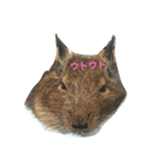 まいにちデグデグ（個別スタンプ：15）