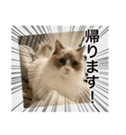 ベル ②（個別スタンプ：1）