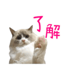 ベル ②（個別スタンプ：3）