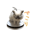 ベル ②（個別スタンプ：6）