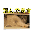 ベル ②（個別スタンプ：7）