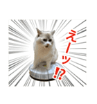 ベル ②（個別スタンプ：9）