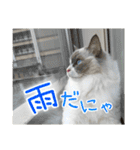 ベル ②（個別スタンプ：10）