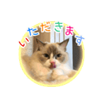 ベル ②（個別スタンプ：13）