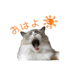 ベル ②（個別スタンプ：14）