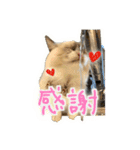 ベル ②（個別スタンプ：16）