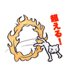 どうぶつサーカススタンプ（個別スタンプ：1）