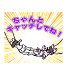 どうぶつサーカススタンプ（個別スタンプ：3）