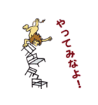 どうぶつサーカススタンプ（個別スタンプ：24）