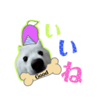 柴田犬のゆきちゃん。（個別スタンプ：4）