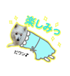 柴田犬のゆきちゃん。（個別スタンプ：10）
