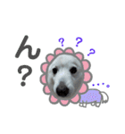 柴田犬のゆきちゃん。（個別スタンプ：11）