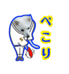 柴田犬のゆきちゃん。（個別スタンプ：15）