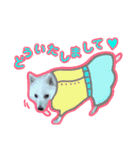 柴田犬のゆきちゃん。（個別スタンプ：24）