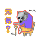 柴田犬のゆきちゃん。（個別スタンプ：28）