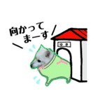柴田犬のゆきちゃん。（個別スタンプ：35）