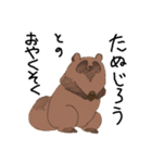 たぬきちくんすたんぷ（個別スタンプ：1）
