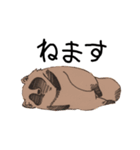 たぬきちくんすたんぷ（個別スタンプ：3）