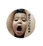 コタローライフ（個別スタンプ：3）