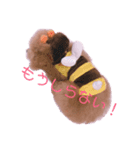 ひめちゃんスタンプ2（個別スタンプ：1）