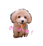 ひめちゃんスタンプ2（個別スタンプ：4）