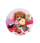 ひめちゃんスタンプ2（個別スタンプ：8）