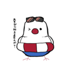 紳士な文鳥（個別スタンプ：16）