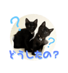 ふぅくぅスタンプ2（個別スタンプ：1）