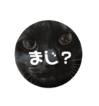 ふぅくぅスタンプ2（個別スタンプ：2）