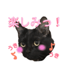 ふぅくぅスタンプ2（個別スタンプ：3）