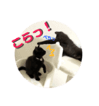 ふぅくぅスタンプ2（個別スタンプ：10）