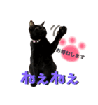 ふぅくぅスタンプ2（個別スタンプ：13）